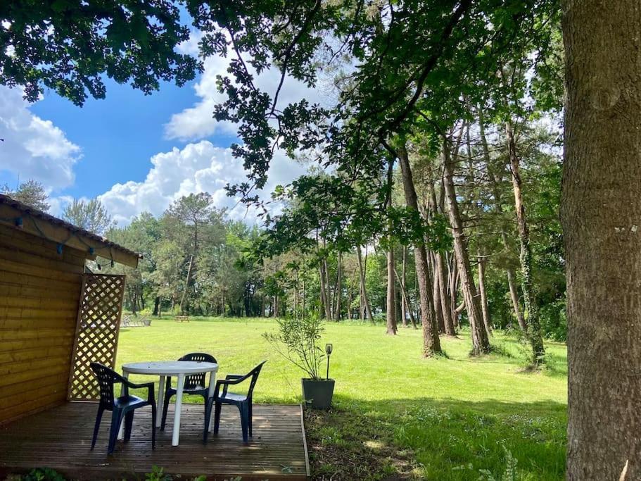 Gite La Lande En Pays Basque Apartment Came Exterior photo