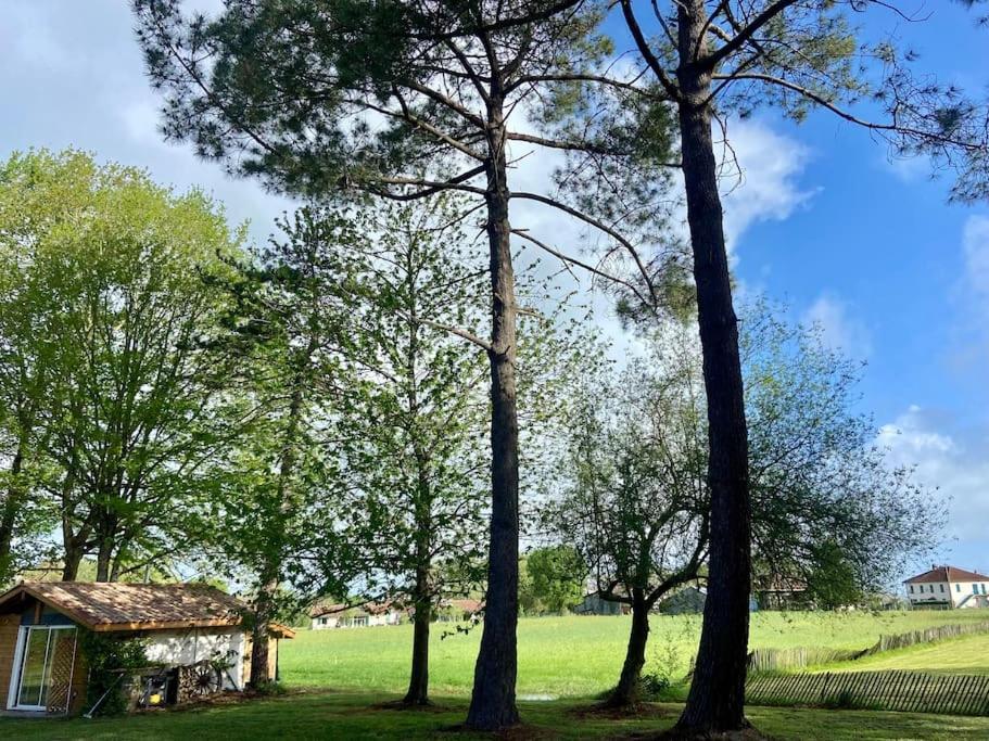 Gite La Lande En Pays Basque Apartment Came Exterior photo